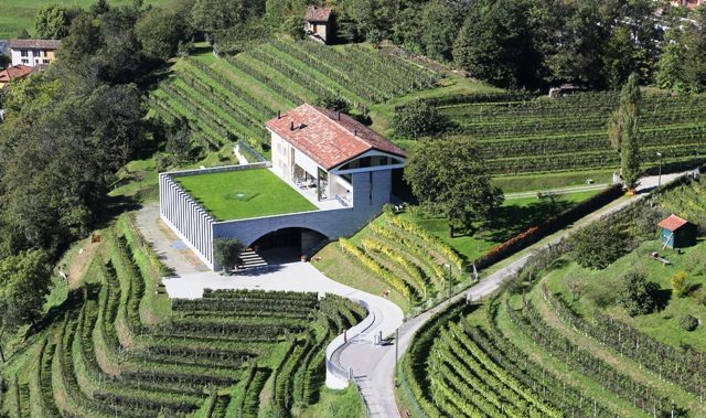 cantina moncucchetto vino ticinese