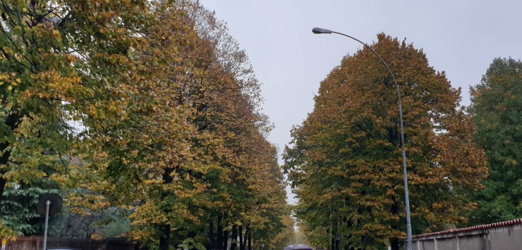 viale boccaccio busto