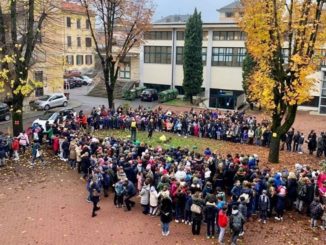 busto alberi festa