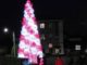 san rocco albero somma