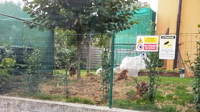 via seprio cardano al campo