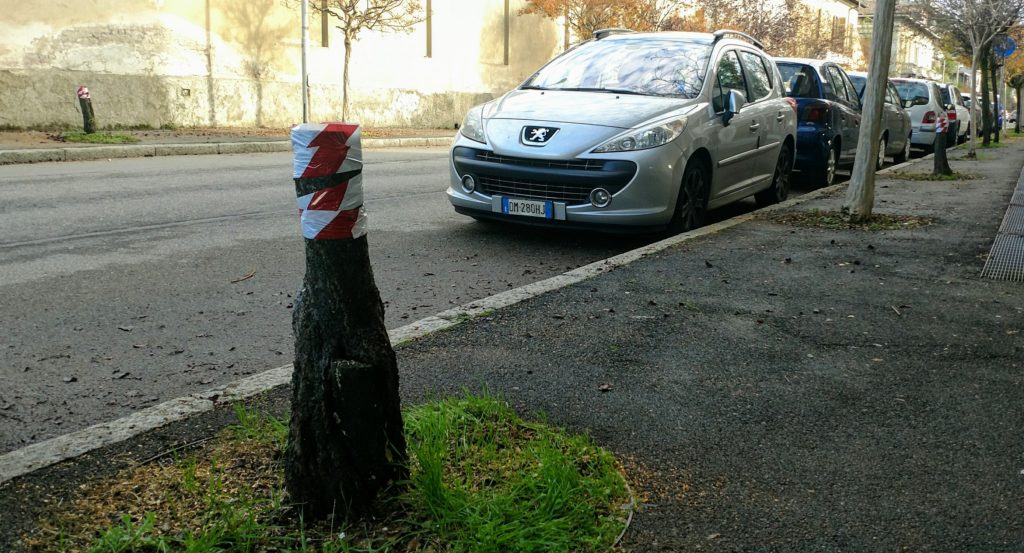 viali busto alberi caprera