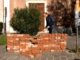 antonelli muro busto