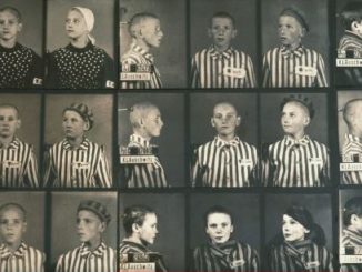legnano anpi scuola auschwitz