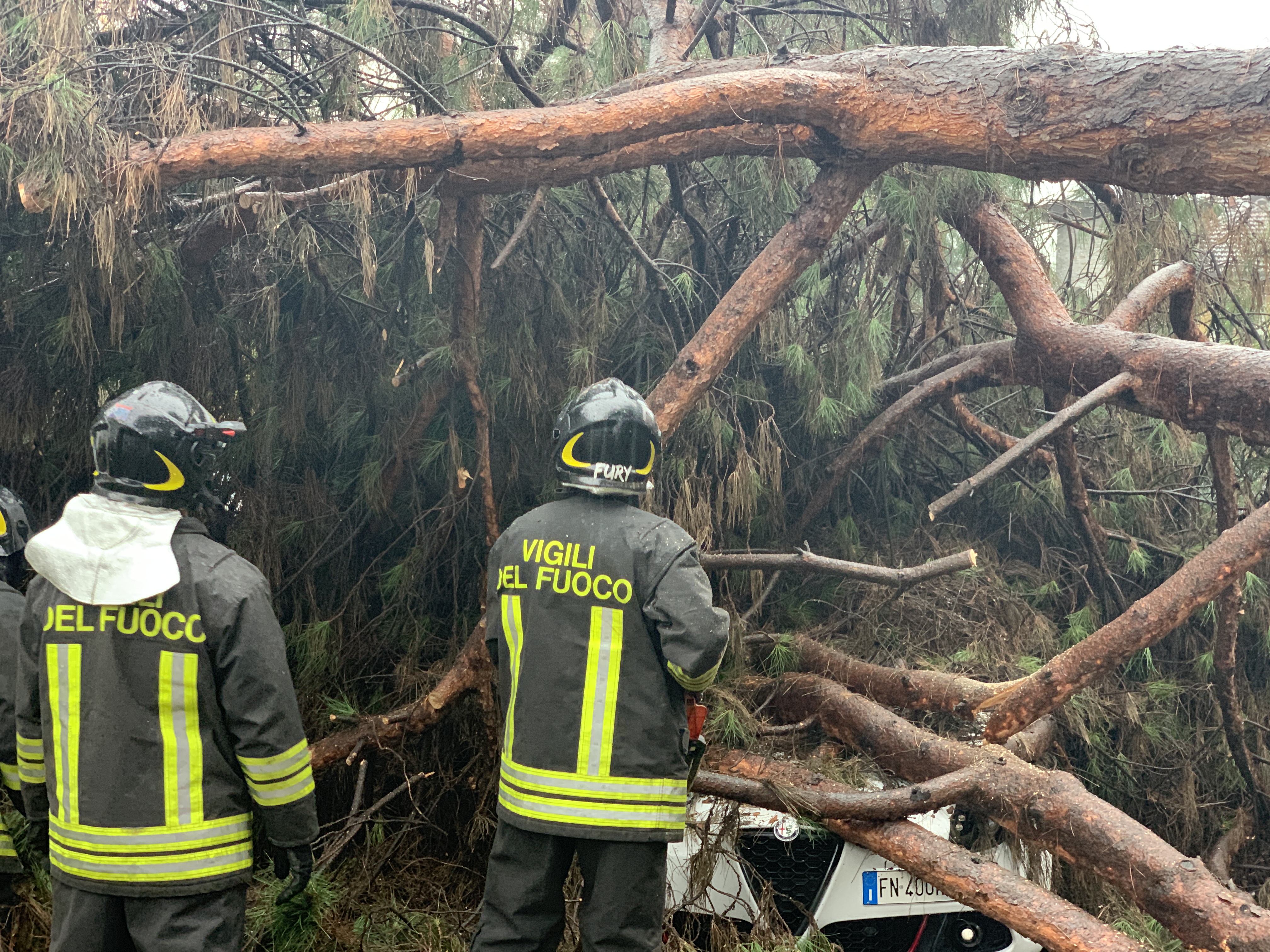 castellanza albero vigili fuoco 