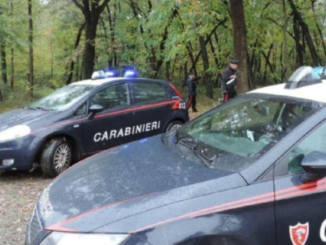 lonate samarate boschi spaccio
