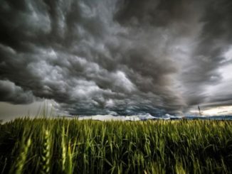 giornata clima sinistra acqua