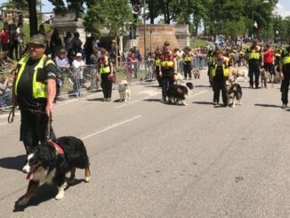 cani soccorso alpini
