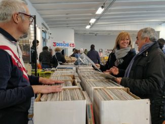 busto vinile vintage rogora