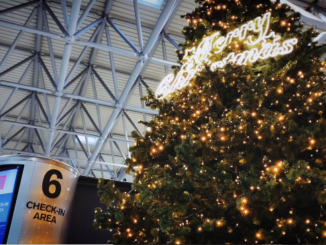 Esodo invernale Malpensa