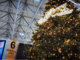 Esodo invernale Malpensa