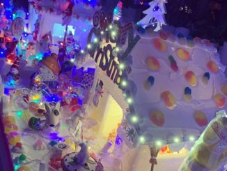 natale cavaria città zucchero