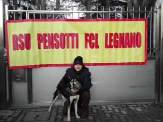 legnano pensotti fallimento curatore