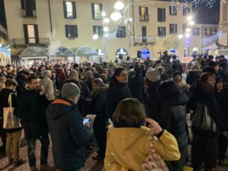 sardine busto