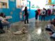 albizzate cani scuola