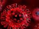 coronavirus olgiate bonza morto