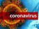 covid-19 coronavirus lupacchino varese