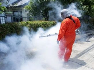 olgiateolona mosche odori ambiente
