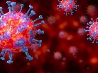 coronavirus inchieste regione verità