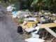 gallarate rifiuti abbandonati via sicilia