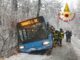 tradate neve autobus fuori strada