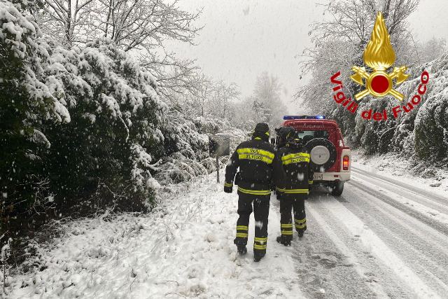 Neve sul Varesotto, piante cadute e incidenti: problemi su strade e  autostrade - MALPENSA24