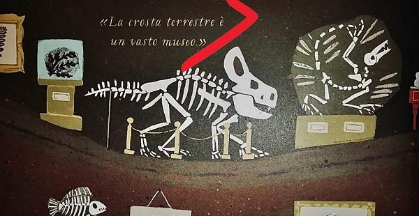 besano museo fossili riapertura