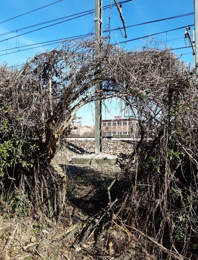 canegrate stazione degrado comune