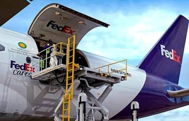 malpensa fedex licenziamenti italia