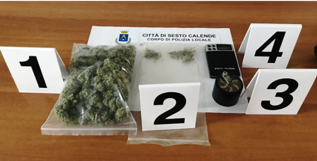 sesto calende sequestro marijuana