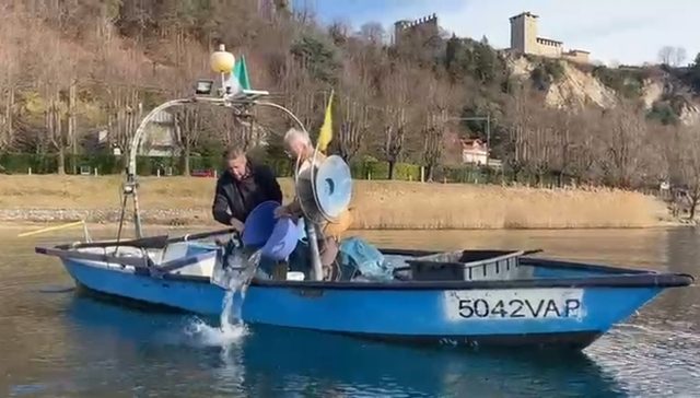 angera lago maggiore anguille