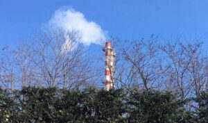 legnano verdi giunta radice
