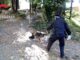 maccagno cane droga ocsi