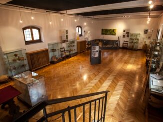 legnano museo civico riapertura