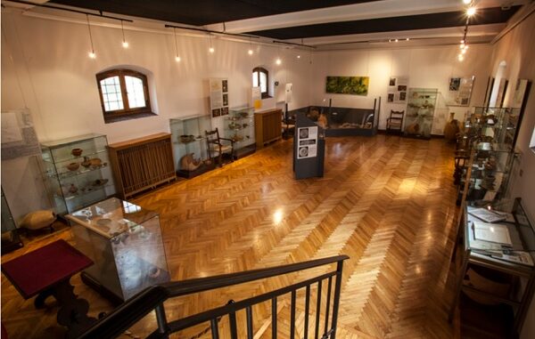 legnano museo civico riapertura