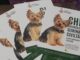 sangiorgiosulegnano cani pulizia campagna