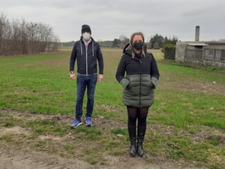 somma nuovo mossolani fdi