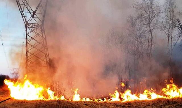 somma lombardo incendio malpensa