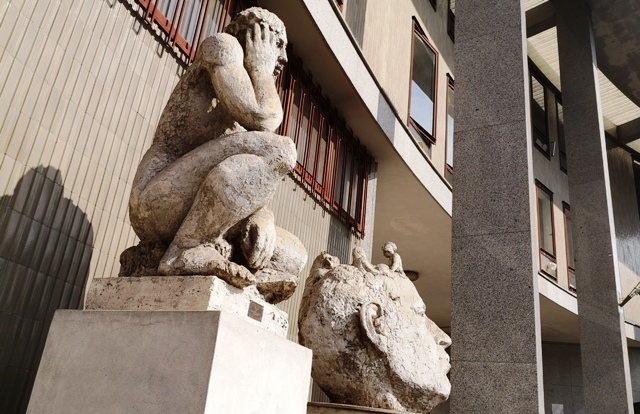 gallarate universita insubria facolta