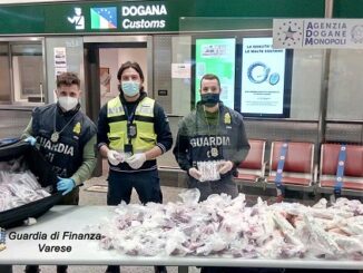malpensa maxi sequestro medicinali