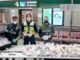 malpensa maxi sequestro medicinali