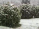 varese neve marzo primavera