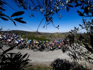 ciclismo bici mercato vendite