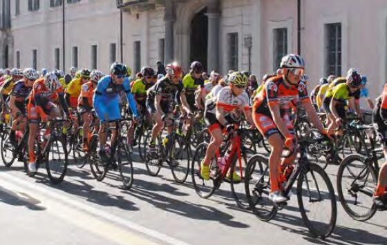 varese angera gara ciclismo
