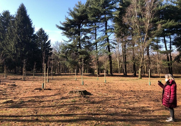legnano parco altomilanese interventi