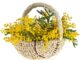8marzo legnanese eventi donne