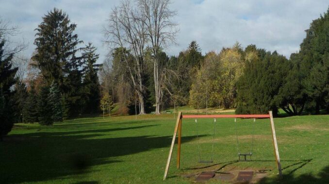 chiosco parco mantegazza varese