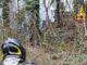 coarezza incendio bosco piromane