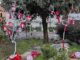rescaldina pasqua alberi proloco