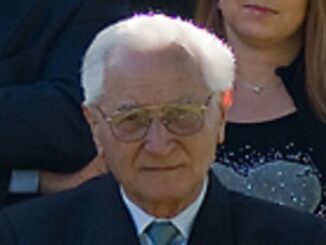 sumirago pozzi varesina stampa